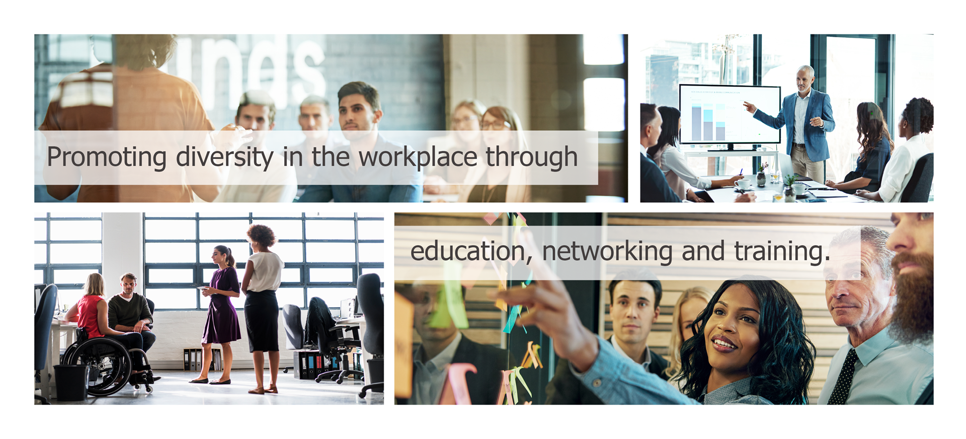 Promoting diversity in the workplace through education, networking and training.